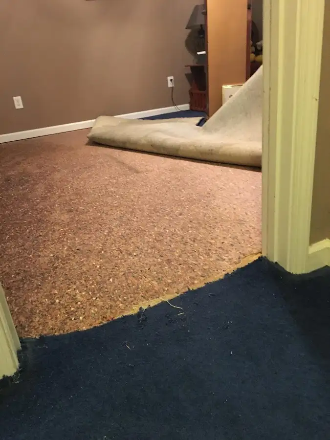 Carpet pad removal revealing water damage during Drying & Dehumidification in Medina
